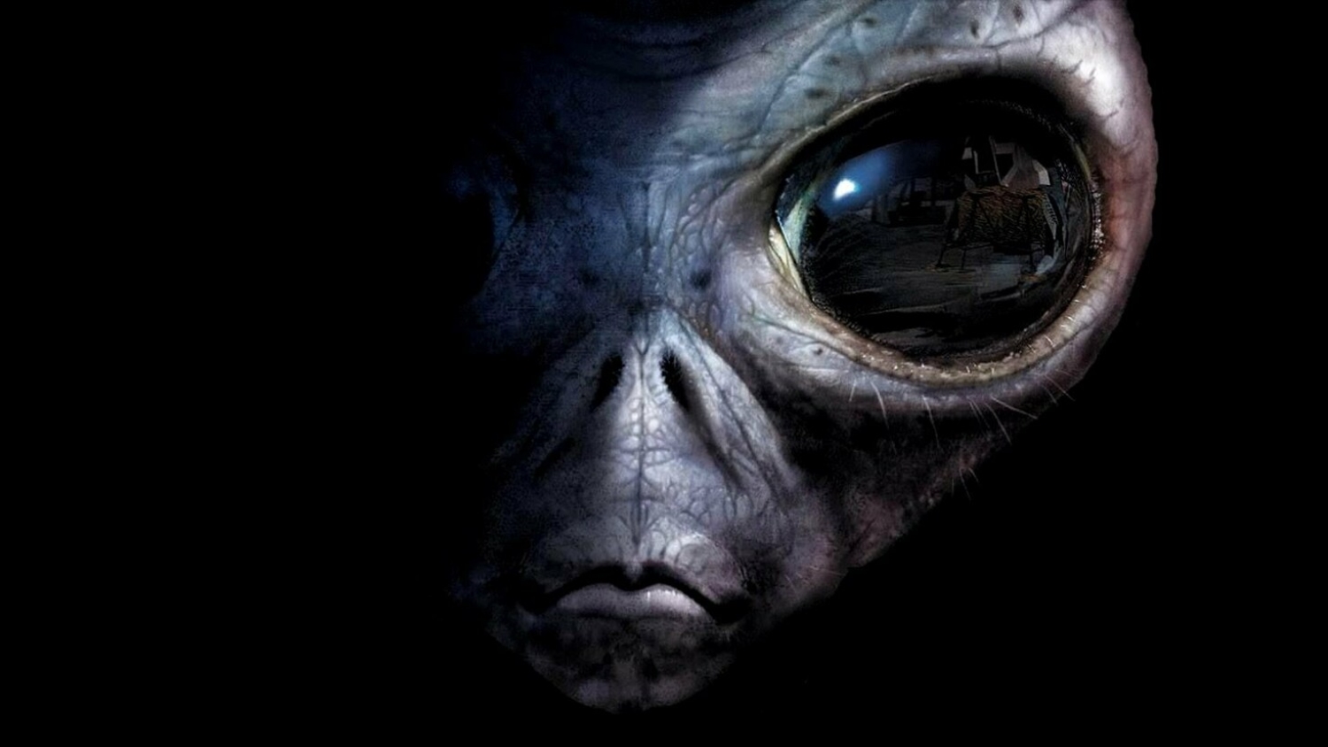 Alec Newald : enlevé par des extraterrestres pendant 10 jours
