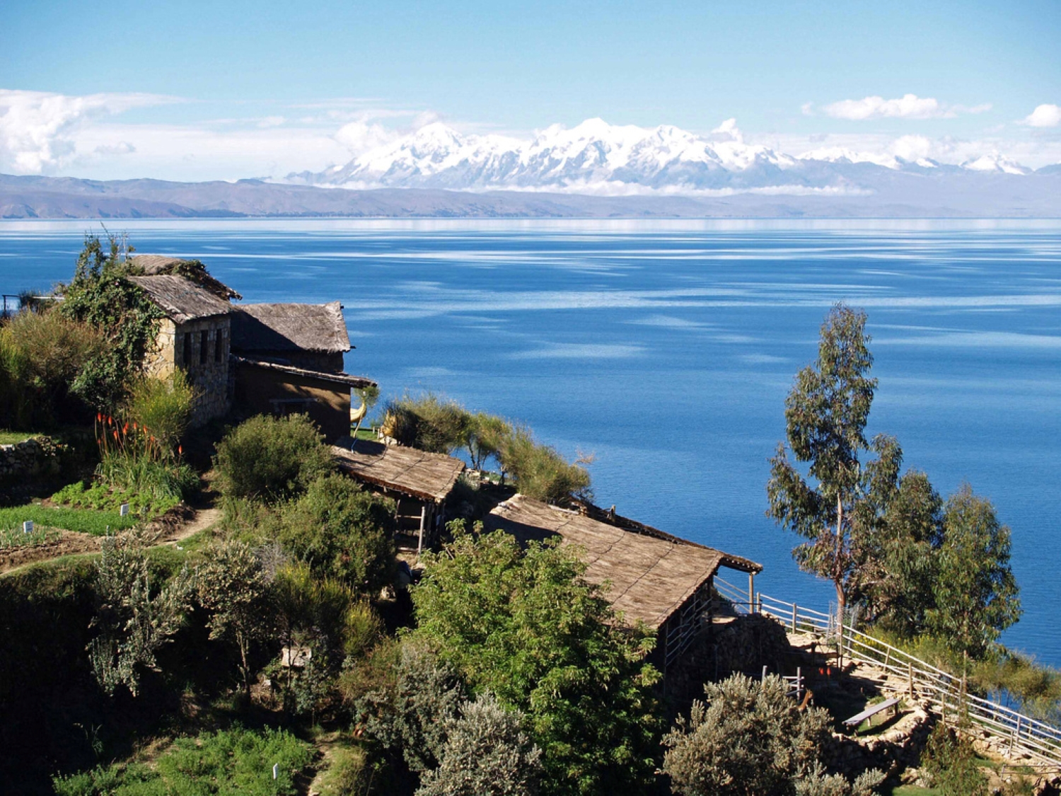 Bolivie : une figurine de lama en coquillage les mystères autour du lac Titicaca
