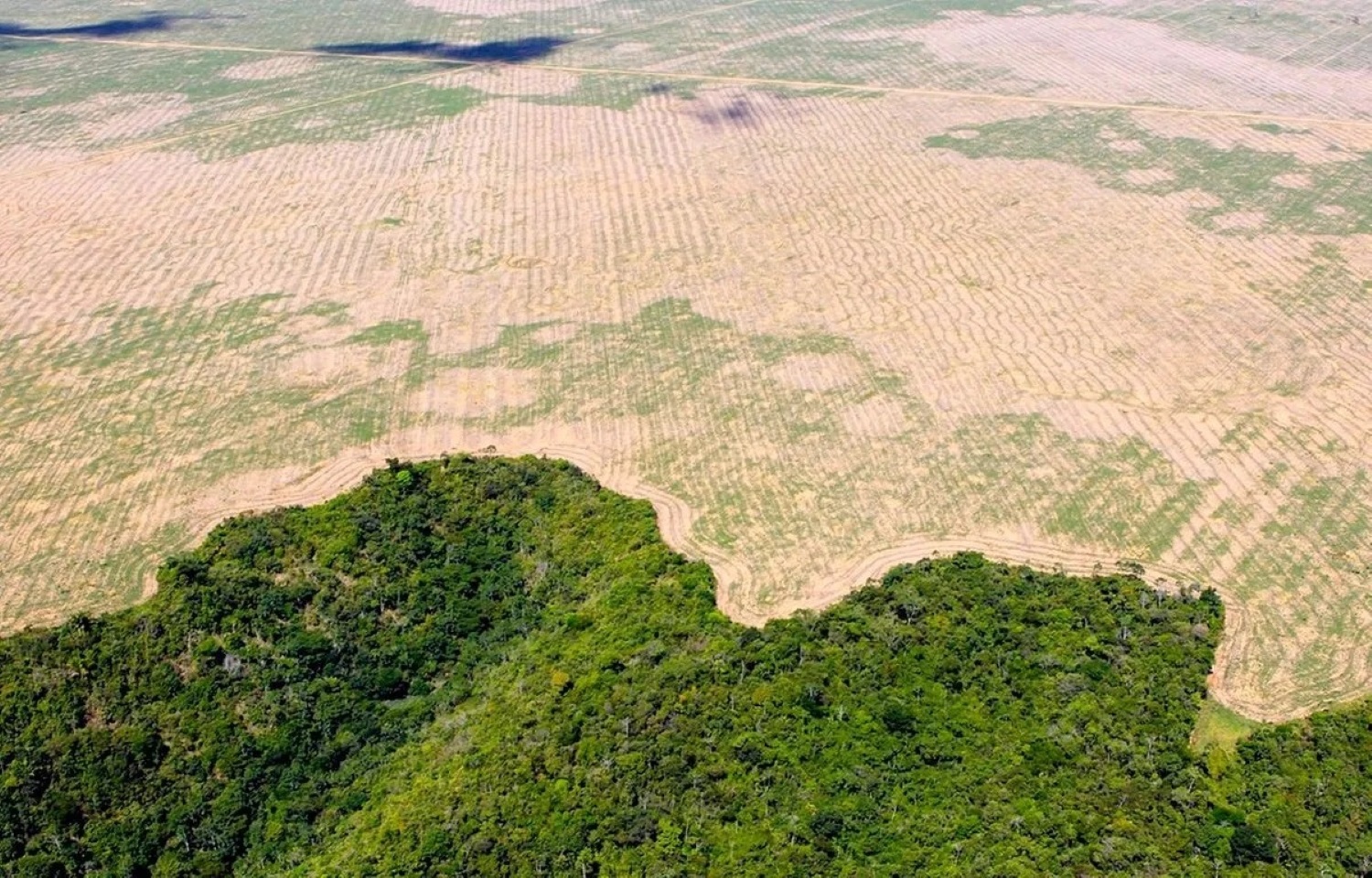 Brésil : déforestation record en Amazonie