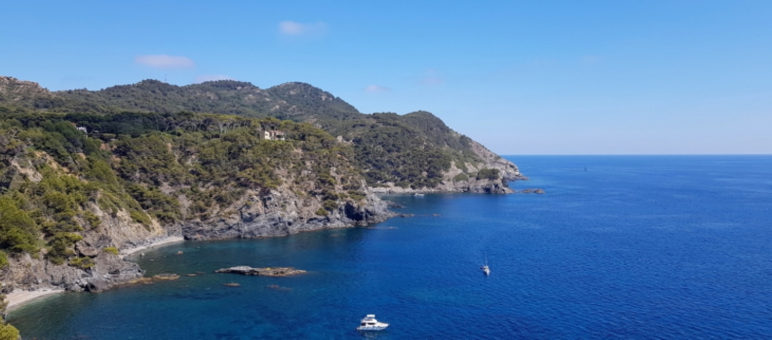 Canicule océanique : 2022 la mer Méditerranée anormalement chaude