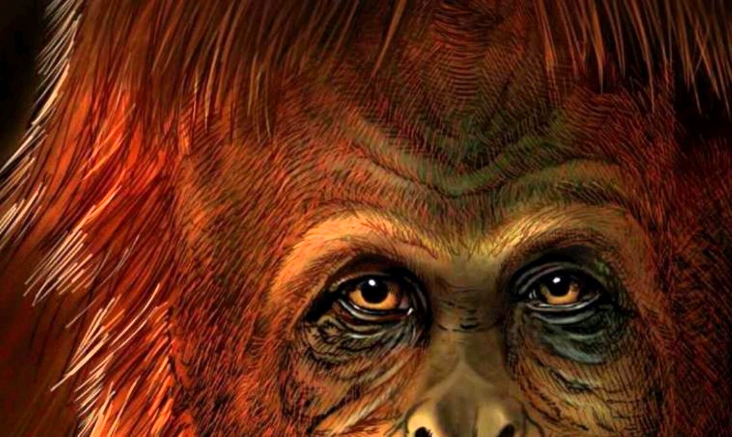 Comment expliquer la disparition des plus grands primates de l’histoire ?