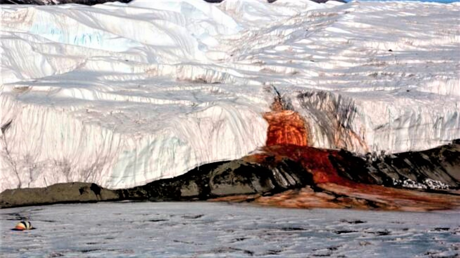 Des cascades de sang en Antarctique : le mystère enfin résolu