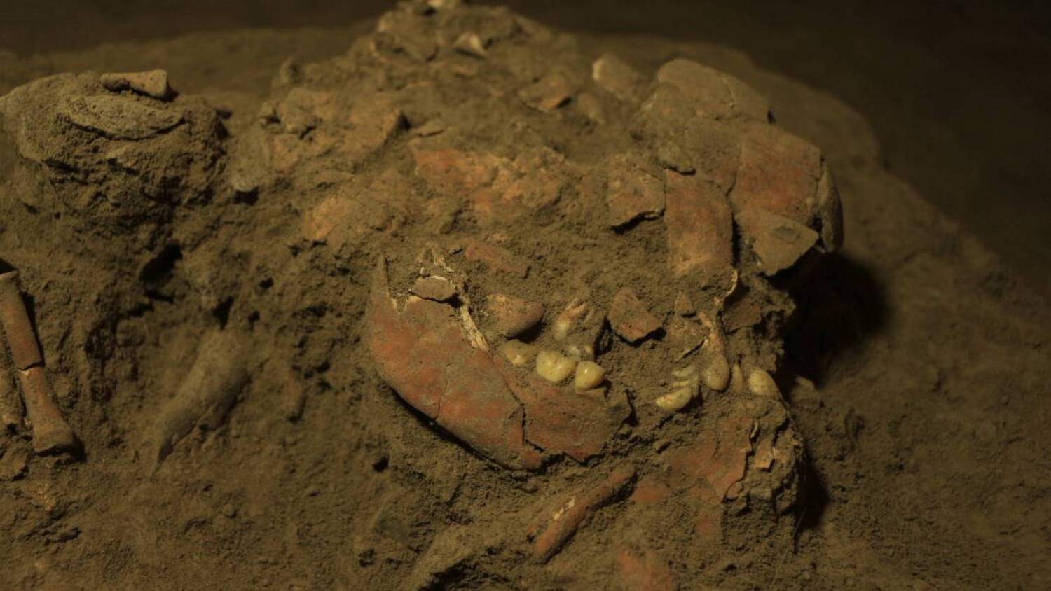 Indonésie : l'ADN intact d'une femme de 7 200 ans révèle une lignée humaine inconnue
