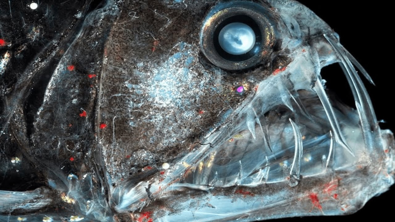 2000002982373