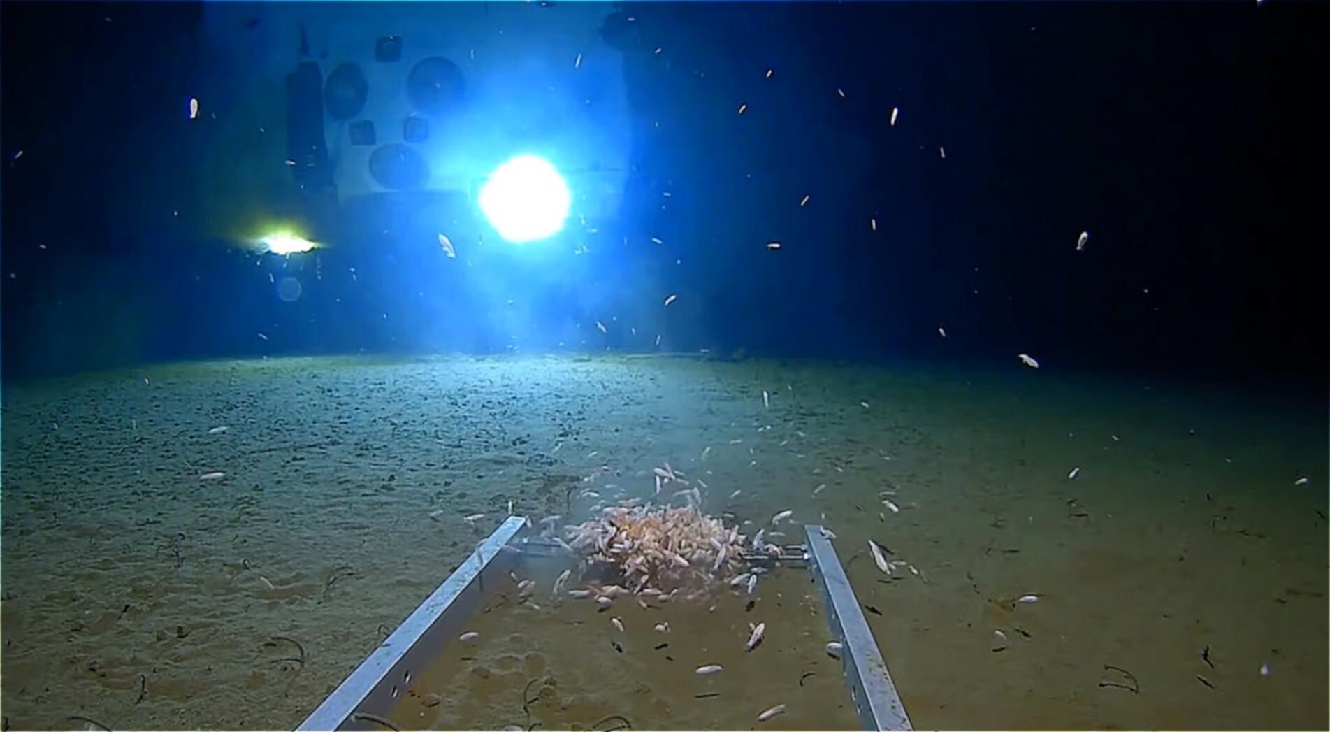 La fosse des Mariannes : 10 935 mètres sous les mers