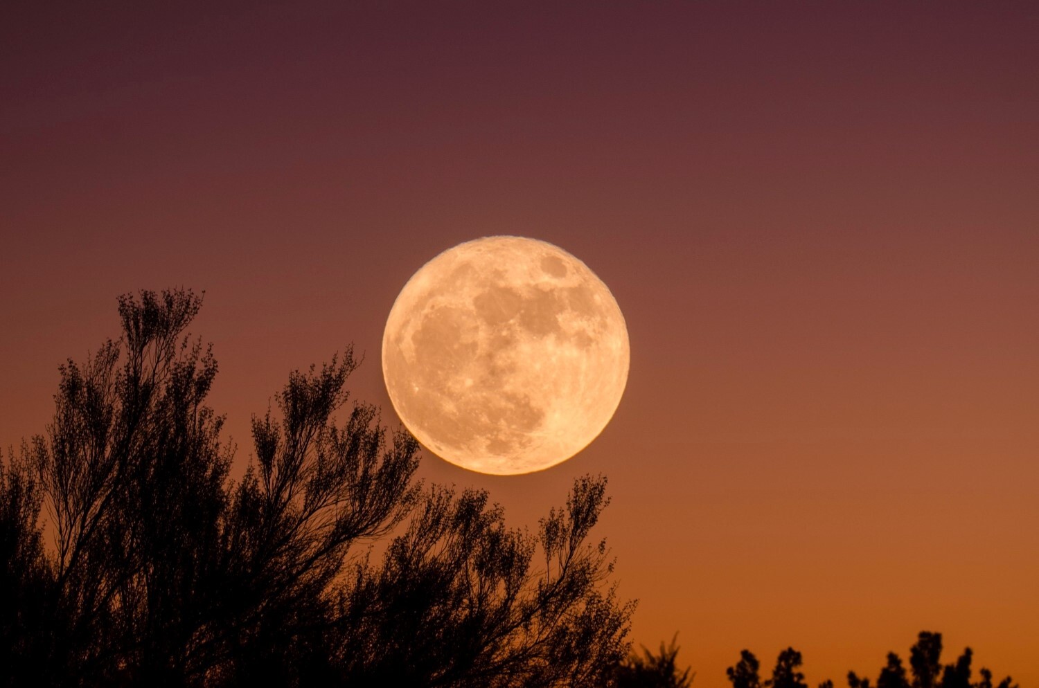 La Lune composée de grottes et de tunnels datant de plusieurs milliards d'années
