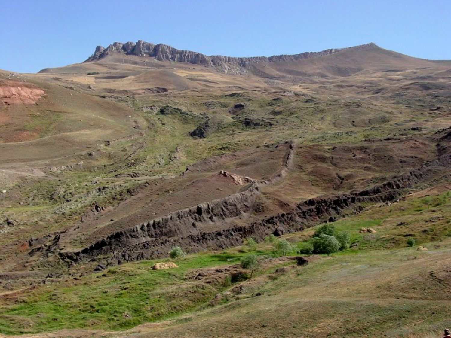 2000002982373