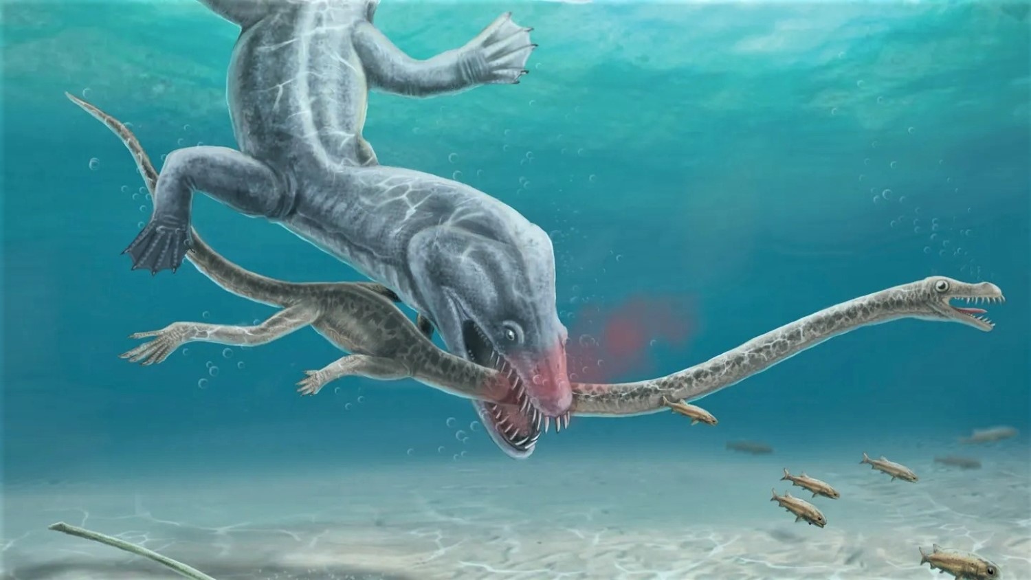 Le long cou de ces reptiles faciles à décapiter aurait causé leur perte