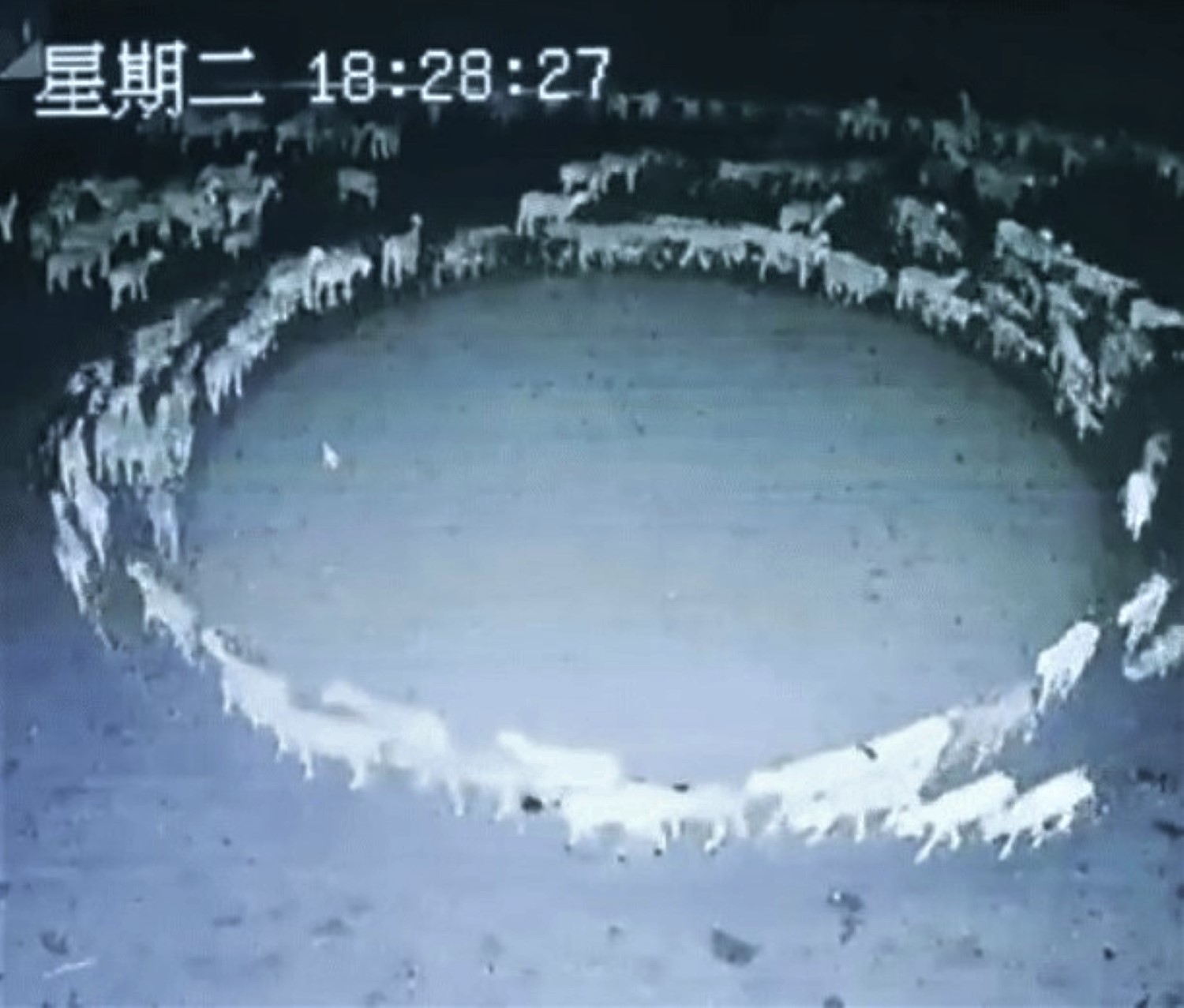 2000002982373
