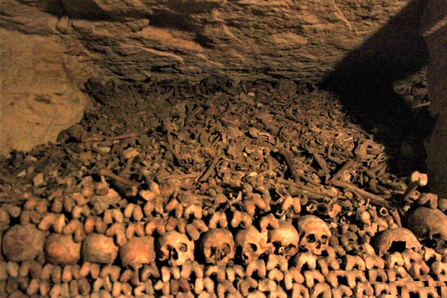 Le mystère des catacombes de Paris