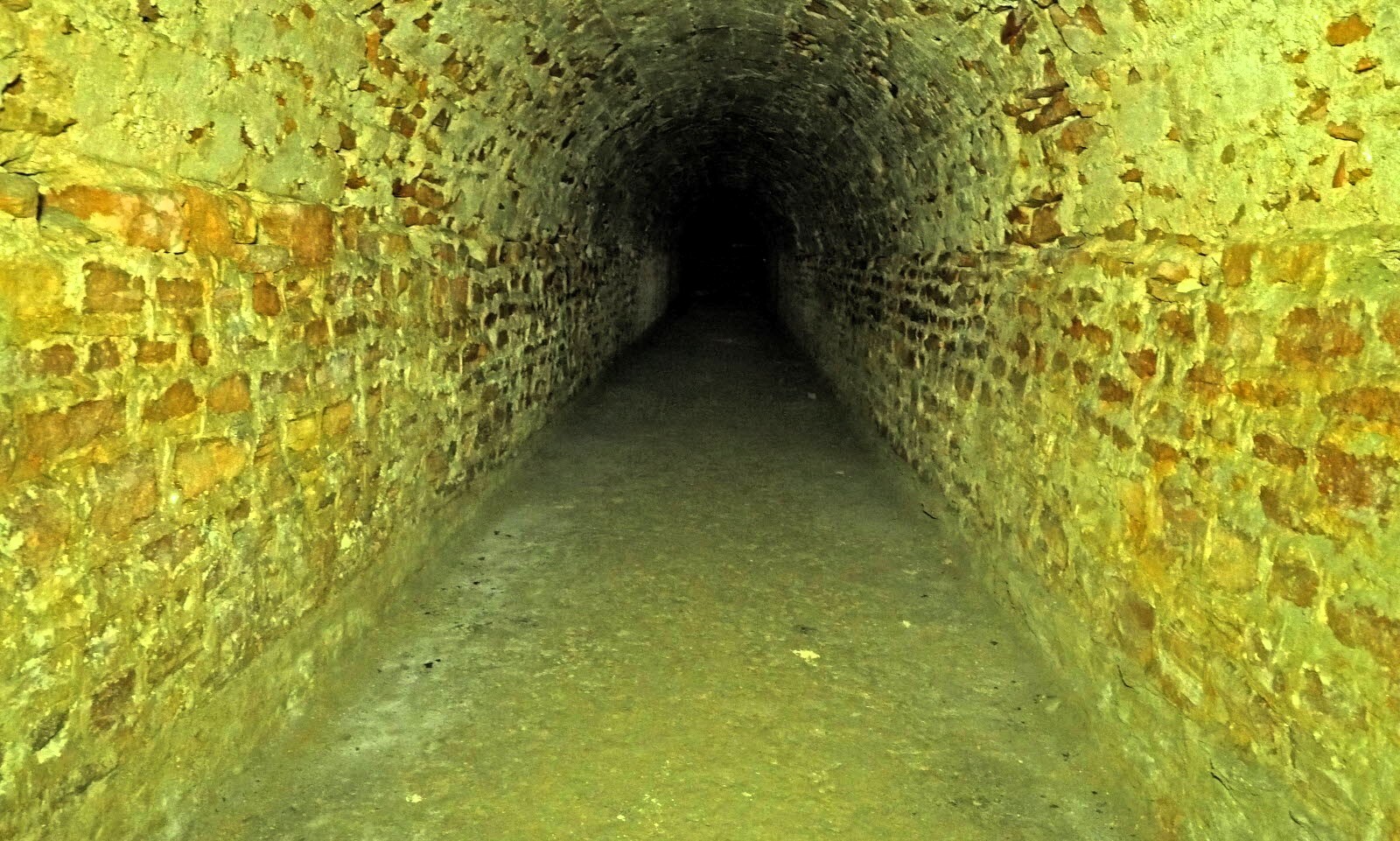 5vfoc7w0h0 2 1600