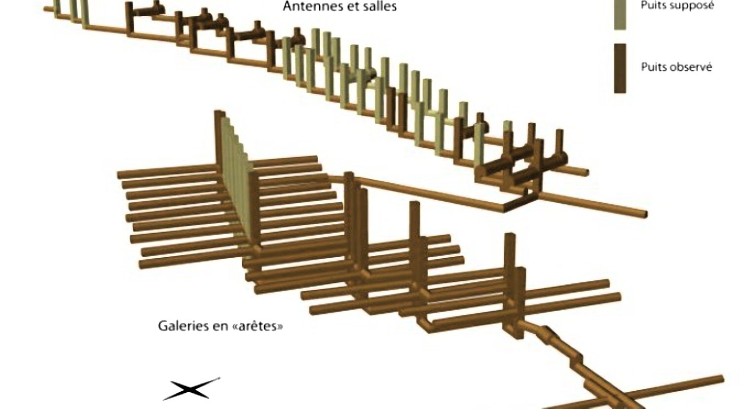 Plan des aretes de poisson