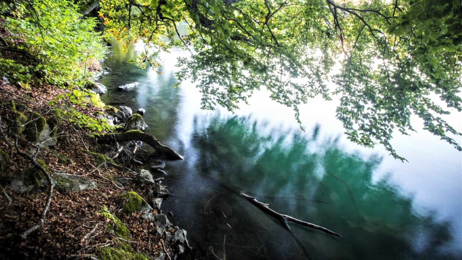 Les mystères du Puy-de-Dôme : mais que cachent les tréfonds du lac Pavin ?