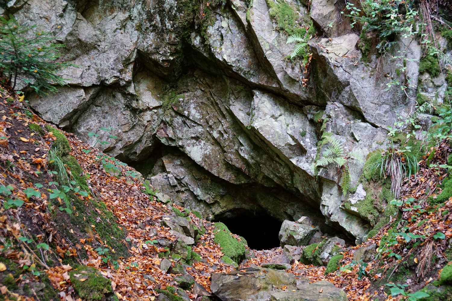 L'histoire des mines du val d'argent