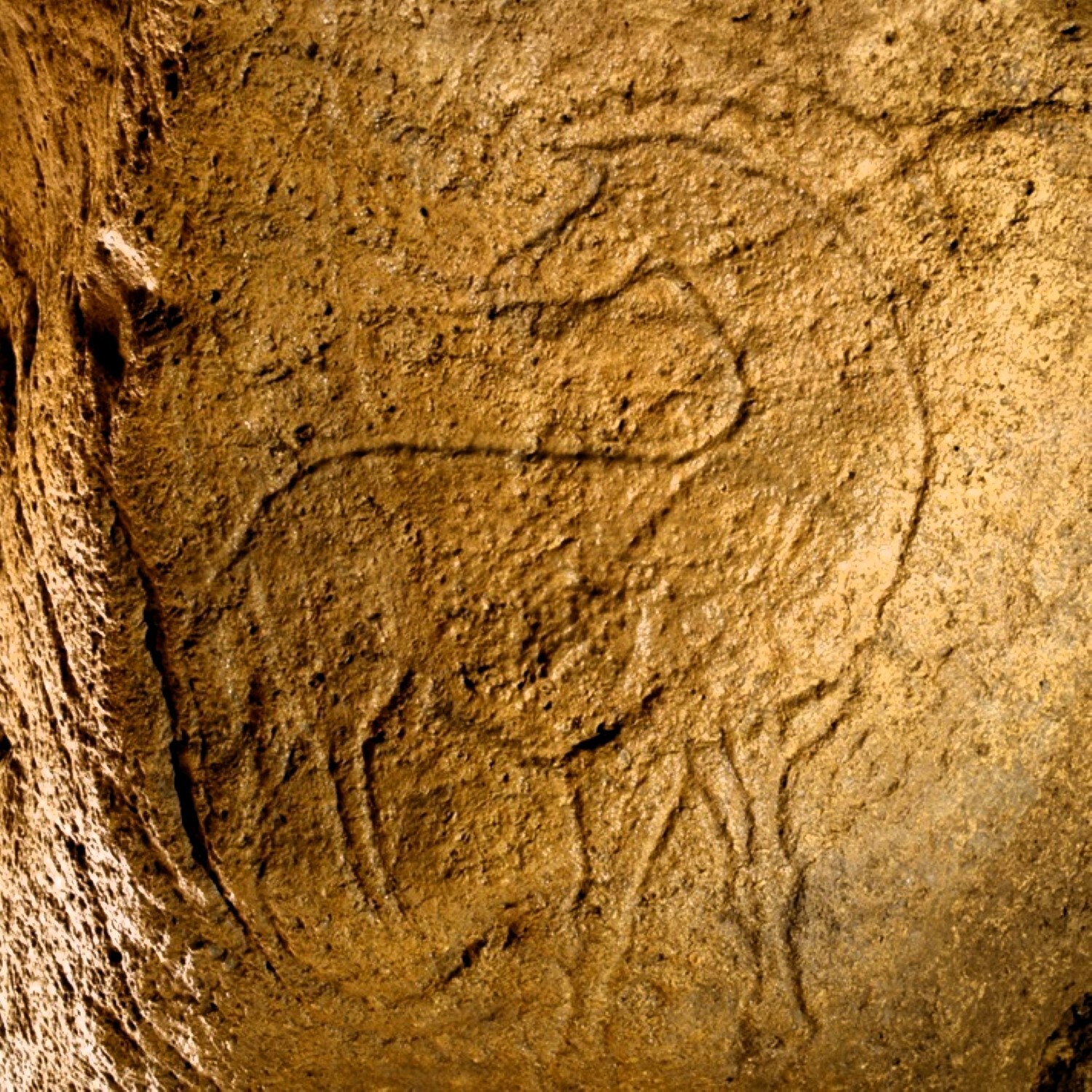 2000002982373