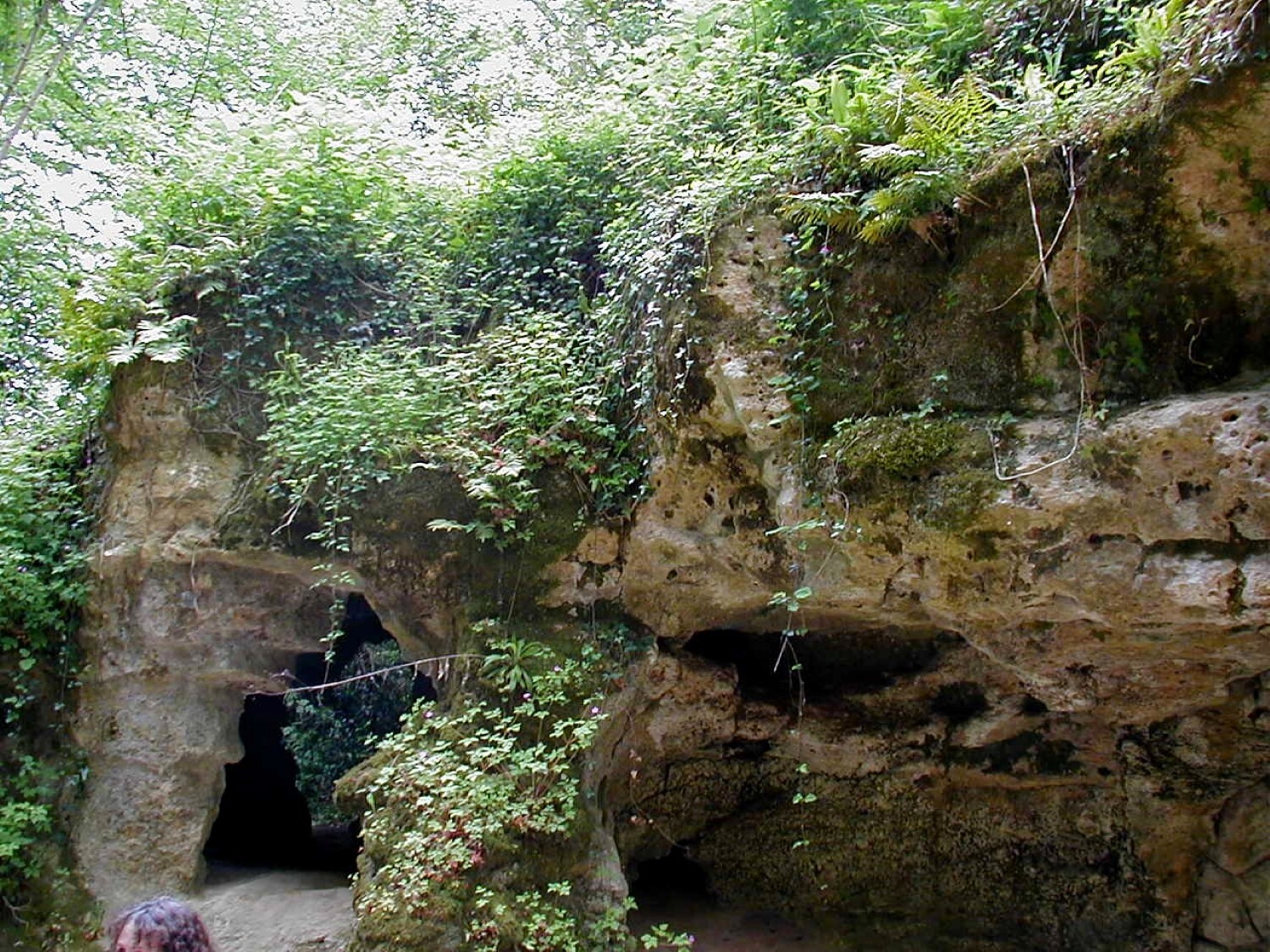 L'une des grottes les plus anciennes du monde deux fois plus âgée que Lascaux
