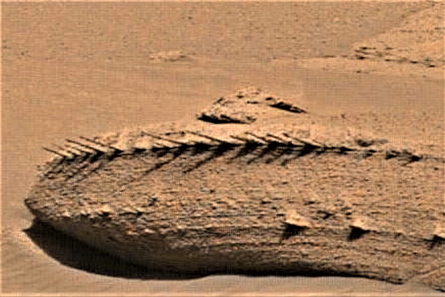2000002982373