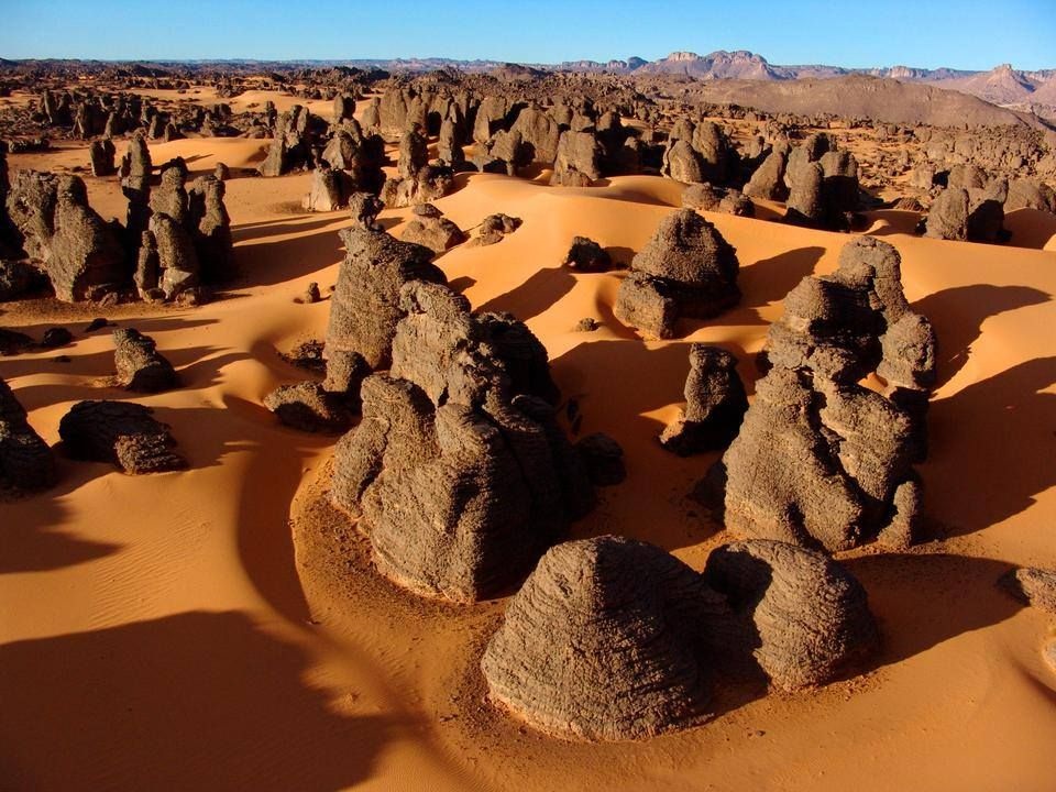 Sahara algérien : les mystères des forêts de pierre