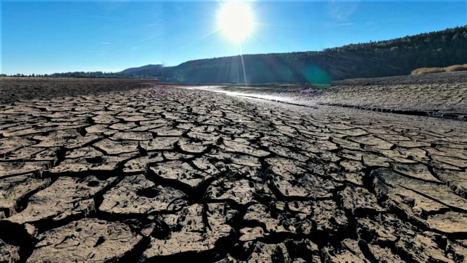 Selon une étude les canicules actuelles auraient été quasiment impossibles sans le changement climatique