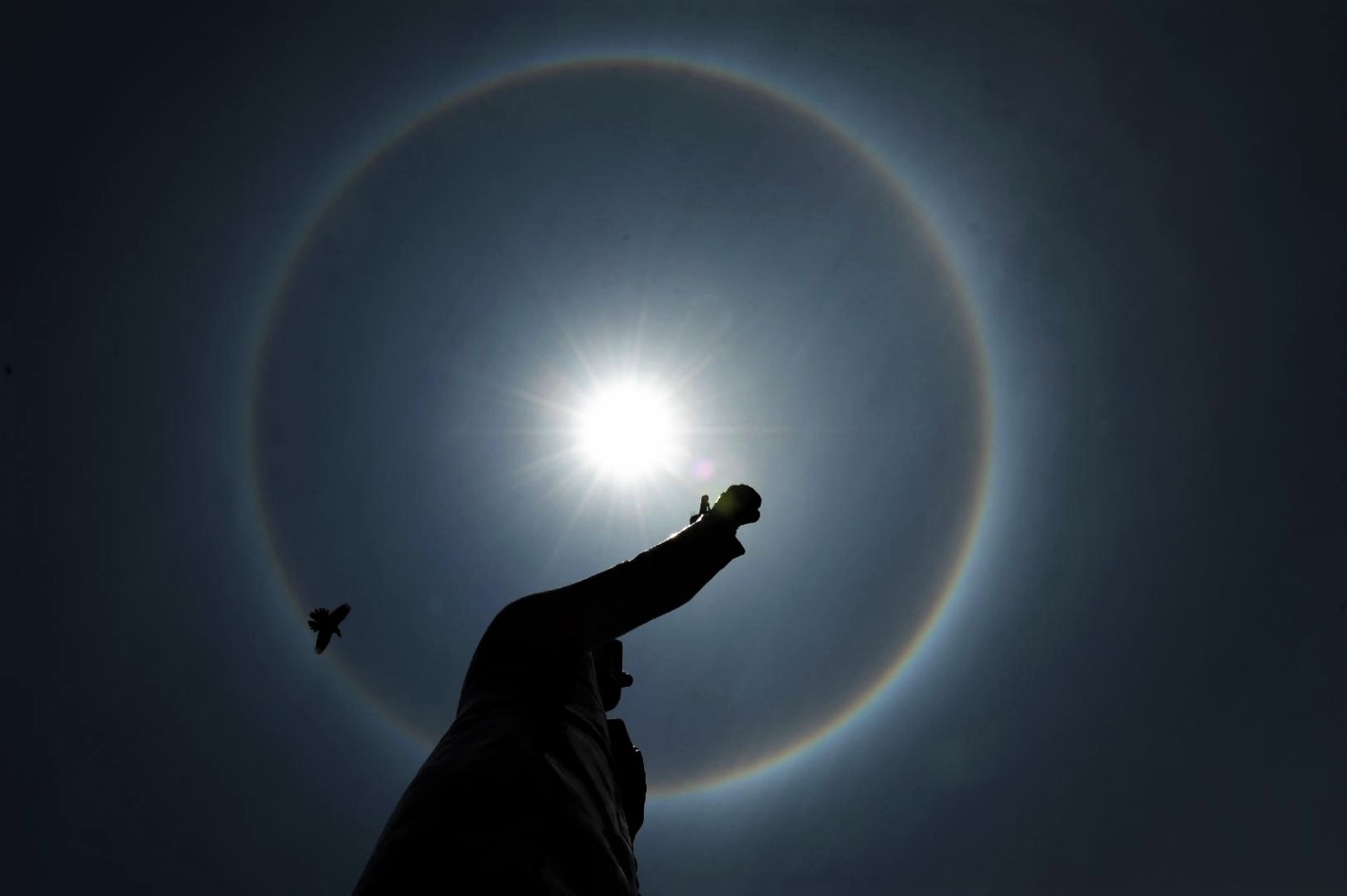 Trois soleils dans le ciel ? Il s'agit d'un phénomène optique nommé parhélie
