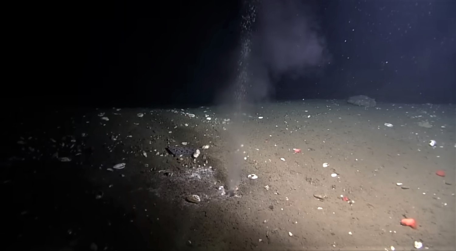 Un étrange liquide chaud s'échappe au fond de l'océan
