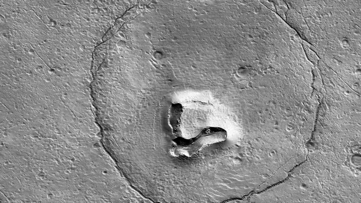 Un ours sur Mars ?