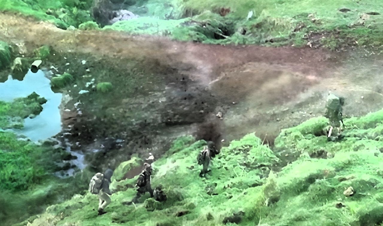 Un père et trois enfants repérés en tenue de camouflage en pleine nature trois ans après leur disparition