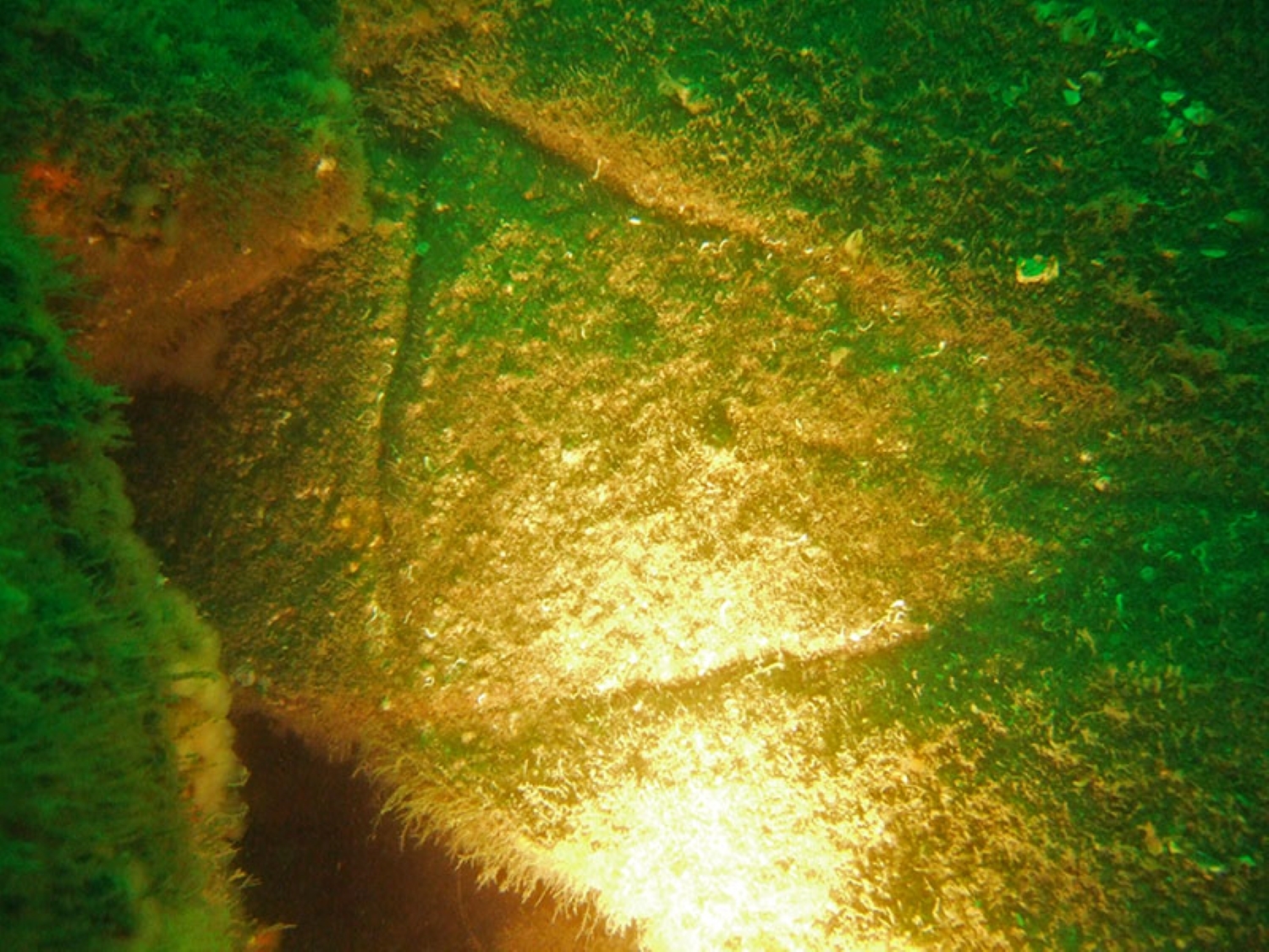 2000002982373