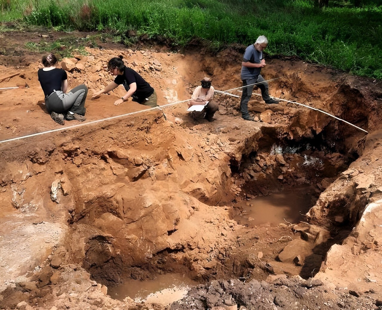 Une vache tombe dans un trou en Bretagne et révèle des vestiges vieux de plus de 2 000 ans