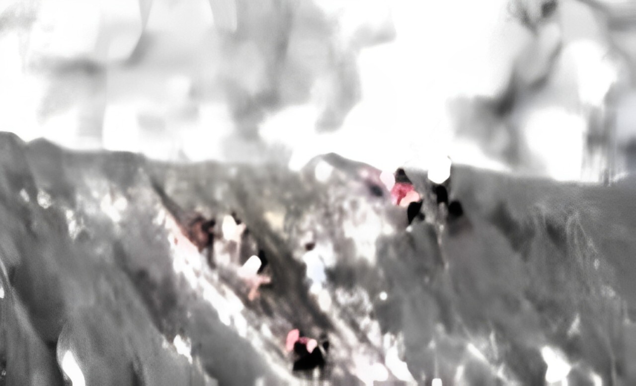 Une vingtaine de randonneurs arrive au sommet du volcan une éruption se déclenche
