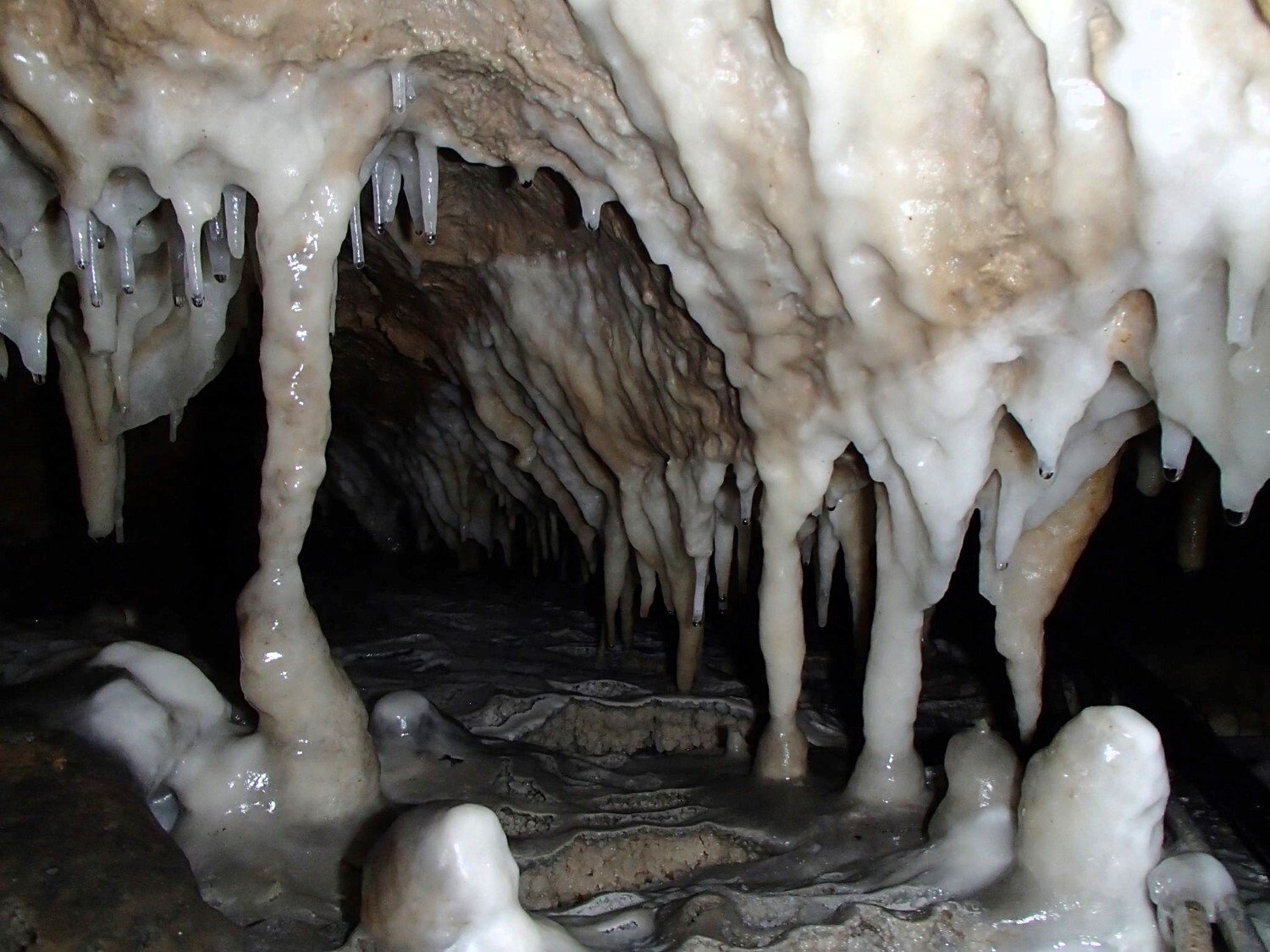 USA : un homme retrouvé congelé dans une grotte en 1977 identifié 47 ans plus tard